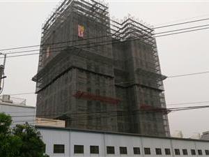 開啟～金帝堡12樓新建住宅